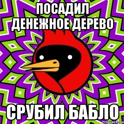 посадил денежное дерево срубил бабло, Мем Омская птица