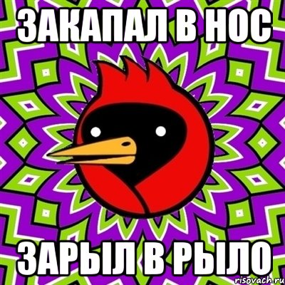 закапал в нос зарыл в рыло, Мем Омская птица