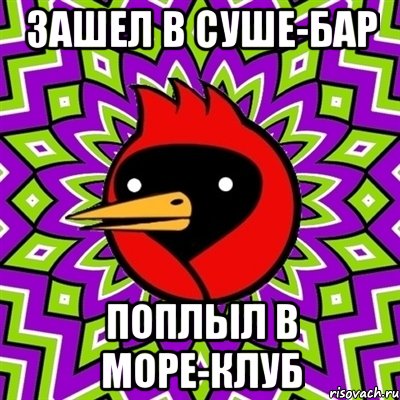зашел в суше-бар поплыл в море-клуб, Мем Омская птица