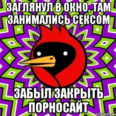 заглянул в окно, там занимались сексом забыл закрыть порносайт, Мем Омская птица