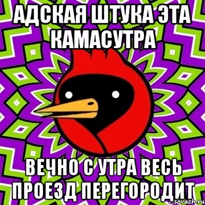 адская штука эта камасутра вечно с утра весь проезд перегородит, Мем Омская птица