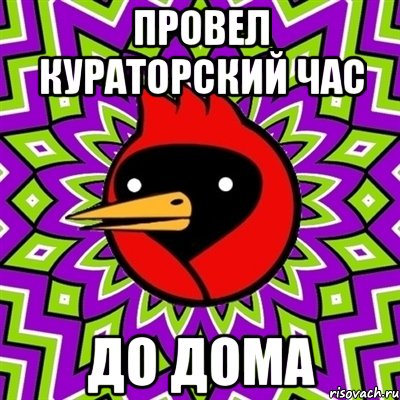 провел кураторский час до дома, Мем Омская птица
