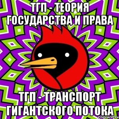 тгп - теория государства и права тгп - транспорт гигантского потока, Мем Омская птица