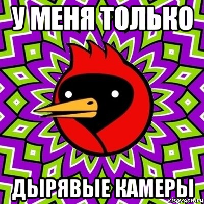 у меня только дырявые камеры, Мем Омская птица