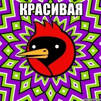 красивая , Мем Омская птица