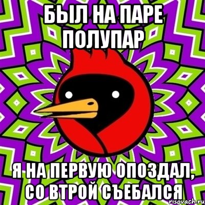 был на паре полупар я на первую опоздал, со втрой съебался, Мем Омская птица
