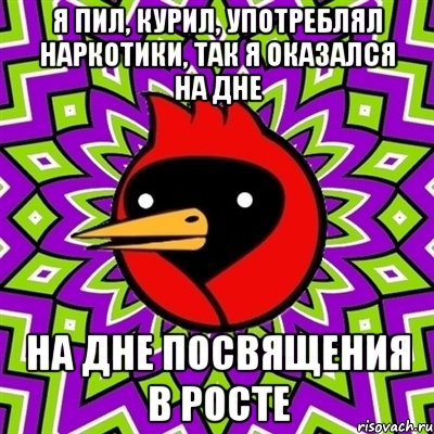 я пил, курил, употреблял наркотики, так я оказался на дне на дне посвящения в росте, Мем Омская птица
