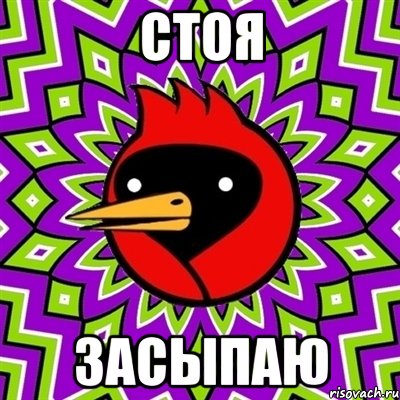 стоя засыпаю, Мем Омская птица