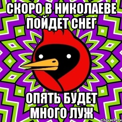 скоро в николаеве пойдет снег опять будет много луж, Мем Омская птица