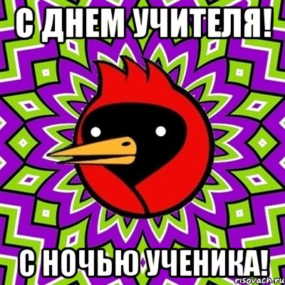 с днем учителя! с ночью ученика!, Мем Омская птица