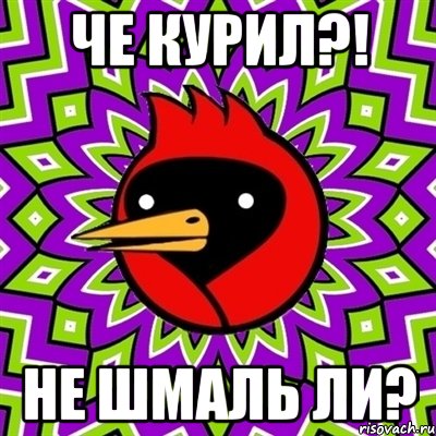че курил?! не шмаль ли?, Мем Омская птица