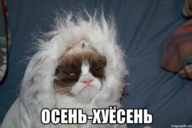  осень-хуёсень