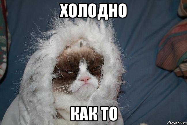 холодно как то