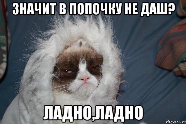 значит в попочку не даш? ладно,ладно