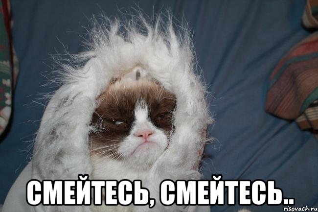  смейтесь, смейтесь..