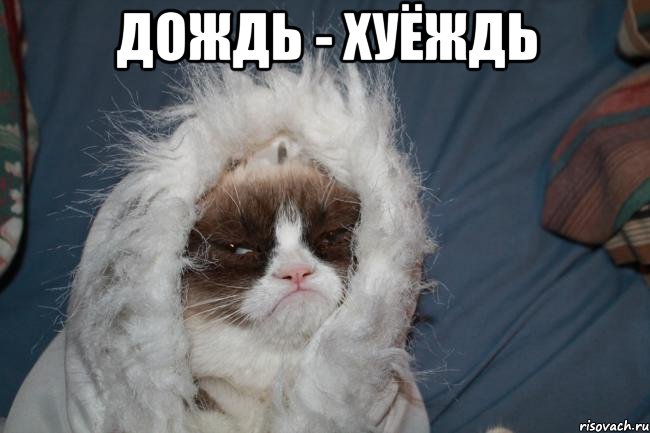 дождь - хуёждь 