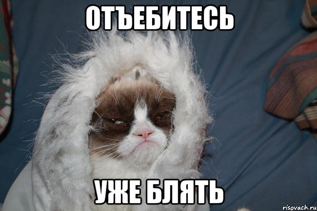 отъебитесь уже блять