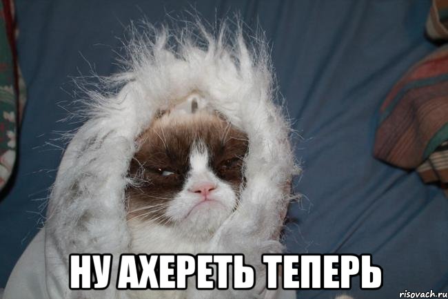  ну ахереть теперь