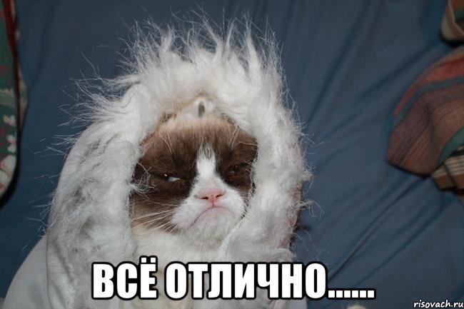  всё отлично......