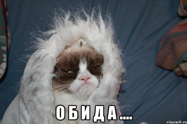  о б и д а ....