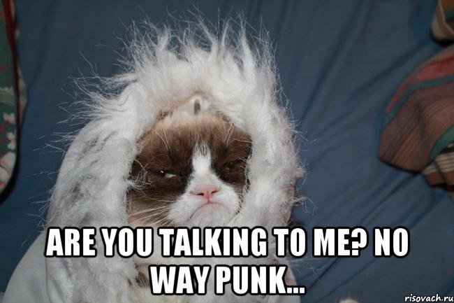 are you talking to me? no way punk...
