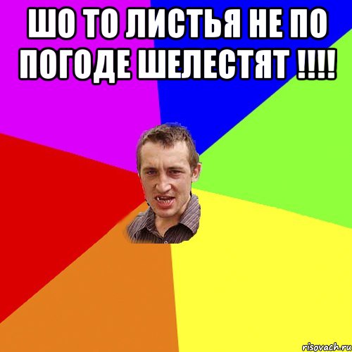 шо то листья не по погоде шелестят !!! , Мем Чоткий паца