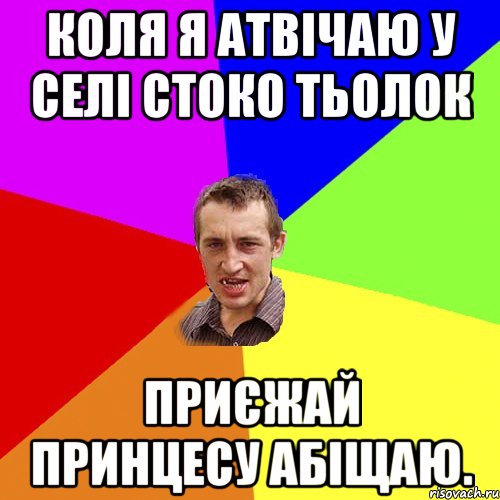 коля я атвічаю у селі стоко тьолок приєжай принцесу абіщаю., Мем Чоткий паца