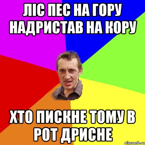 ліс пес на гору надристав на кору хто пискне тому в рот дрисне, Мем Чоткий паца