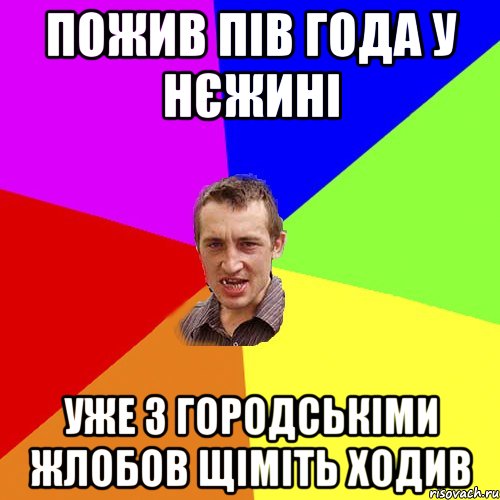 пожив пів года у нєжині уже з городськіми жлобов щіміть ходив, Мем Чоткий паца