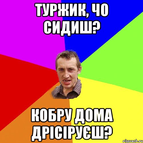 туржик, чо сидиш? кобру дома дрісіруєш?, Мем Чоткий паца