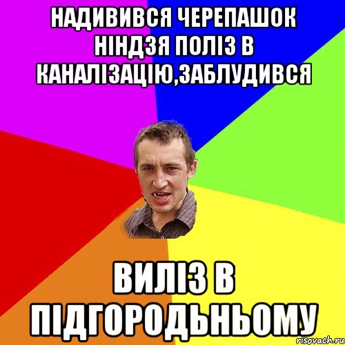 надивився черепашок нiндзя полiз в каналiзацiю,заблудився вилiз в пiдгородьньому, Мем Чоткий паца