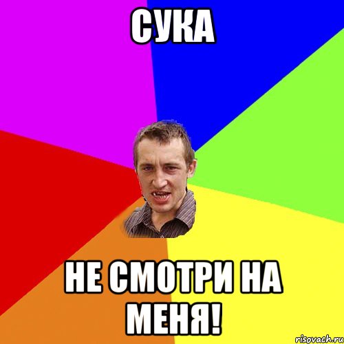 сука не смотри на меня!, Мем Чоткий паца