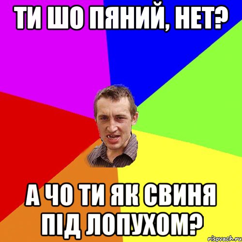 ти шо пяний, нет? а чо ти як свиня під лопухом?, Мем Чоткий паца