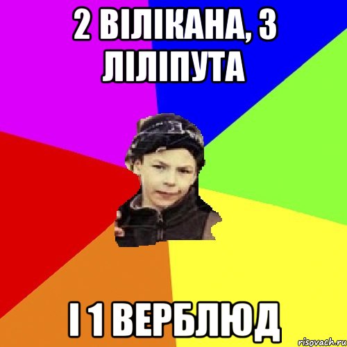 2 вілікана, 3 ліліпута і 1 верблюд, Мем пацан з дворка