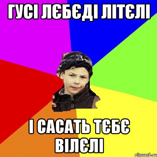 гусі лєбєді літєлі і сасать тєбє вілєлі, Мем пацан з дворка