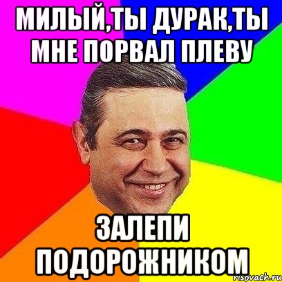 милый,ты дурак,ты мне порвал плеву залепи подорожником