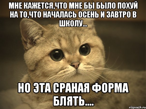 мне кажется,что мне бы было похуй на то,что началась осень и завтро в школу... но эта сраная форма блять...., Мем Пидрила ебаная котик