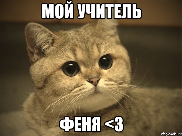 мой учитель феня <3, Мем Пидрила ебаная котик