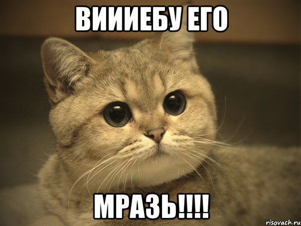 виииебу его мразь!!!, Мем Пидрила ебаная котик