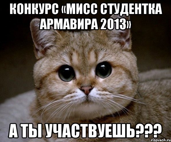 конкурс «мисс студентка армавира 2013» а ты участвуешь???, Мем Пидрила Ебаная