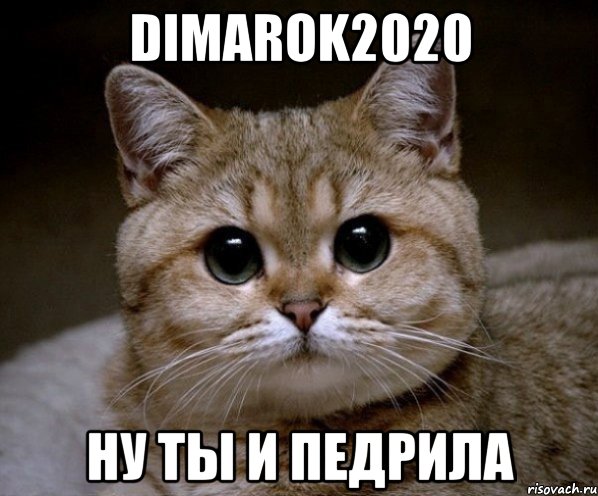 dimarok2020 ну ты и педрила, Мем Пидрила Ебаная