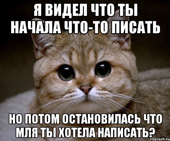 я видел что ты начала что-то писать но потом остановилась что мля ты хотела написать?, Мем Пидрила Ебаная