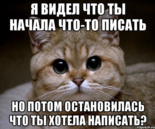 я видел что ты начала что-то писать но потом остановилась что ты хотела написать?, Мем Пидрила Ебаная