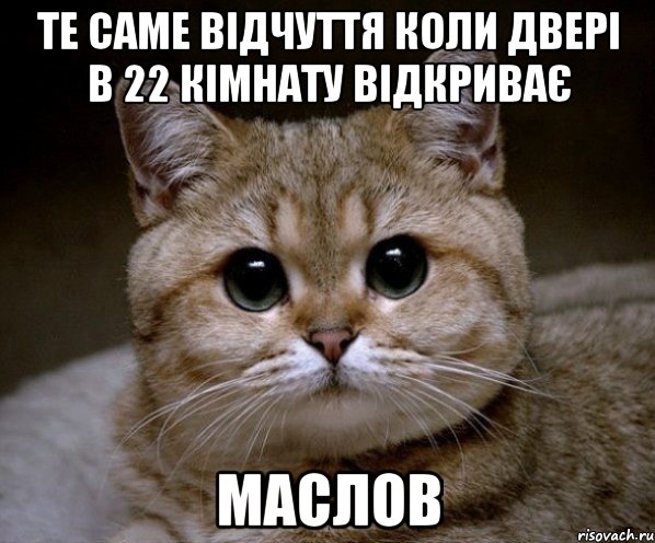 те саме відчуття коли двері в 22 кімнату відкриває маслов, Мем Пидрила Ебаная