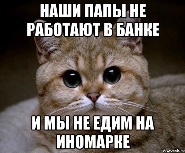 наши папы не работают в банке и мы не едим на иномарке, Мем Пидрила Ебаная