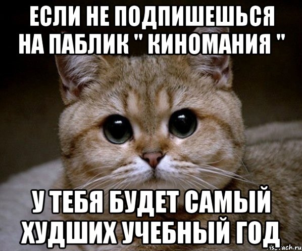 если не подпишешься на паблик " киномания " у тебя будет самый худших учебный год, Мем Пидрила Ебаная