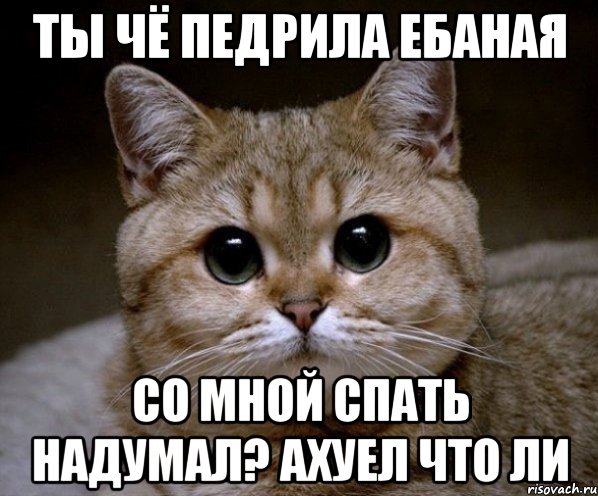 ты чё педрила ебаная со мной спать надумал? ахуел что ли, Мем Пидрила Ебаная