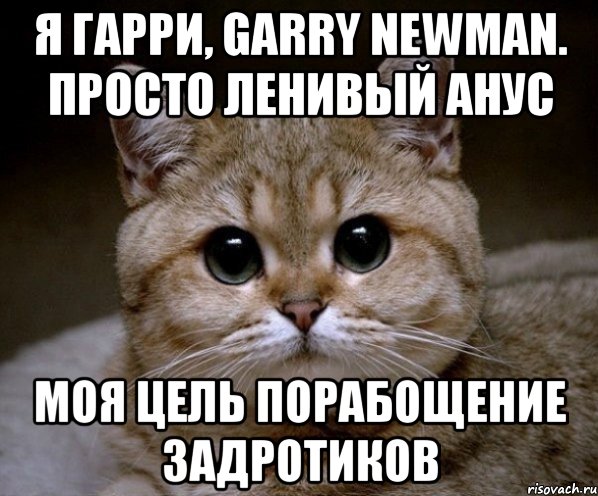 я гарри, garry newman. просто ленивый анус моя цель порабощение задротиков, Мем Пидрила Ебаная