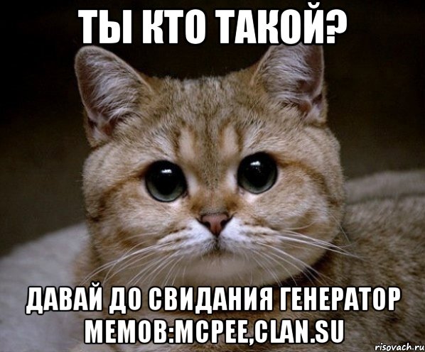 ты кто такой? давай до свидания генератор мемов:mcpee,clan.su, Мем Пидрила Ебаная