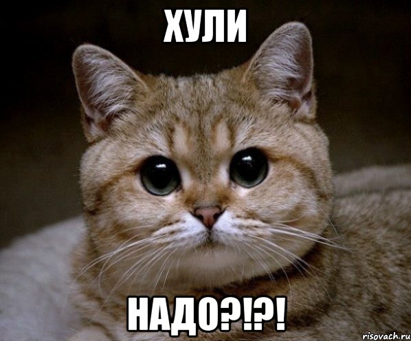 хули надо?!?!, Мем Пидрила Ебаная
